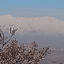 Profile picture of ‌به تو چه فراموش کردم‌