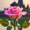 Profile picture of ‌Bano‌