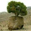 Profile picture of ‌خانم خیری‌