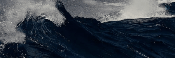 ‌اختاپوسMiss‌'s header picture