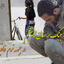 Profile picture of ‌ایلیاد موسوی‌