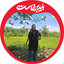 Profile picture of ‌میانه رو‌