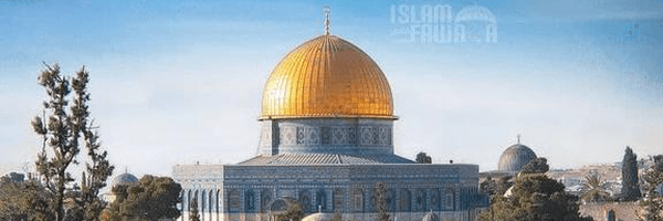 ‌امین قربانی‌'s header picture