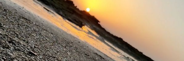 ‌عماد علمی‌'s header picture