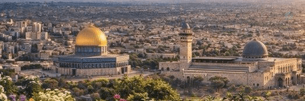 ‌محمود صادقی‌'s header picture