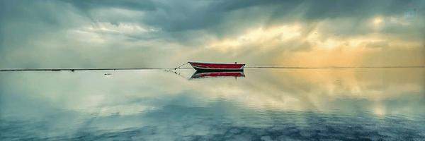 ‌ایمان شفیق‌'s header picture