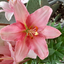 Profile picture of ‌تاویار‌