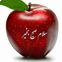 Profile picture of ‌جیم برومند‌