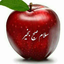 Profile picture of ‌جیم برومند‌