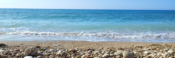 ‌منتظر‌'s header picture