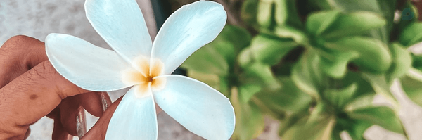 ‌Iran‌'s header picture