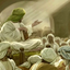 Profile picture of ‌«أَلْسَّائِل³¹³»‌