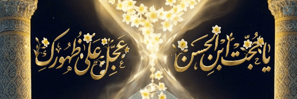‌حیدر سیستانی‌'s header picture