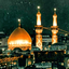 Profile picture of ‌Mohammadreza‌