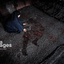 Profile picture of ‌غلامِ حسین(ع)‌