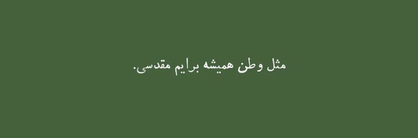‌نورالزهرا‌'s header picture