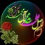 Profile picture of ‌amir zoleykhaei‌
