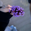 Profile picture of ‌آسوده‌