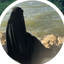 Profile picture of ‌fatemeh‌