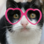 Profile picture of ‌MioMio‌