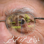 Profile picture of ‌Mah3.valizadeh.ght‌