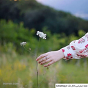 Profile picture of ‌نازنین سیما‌