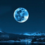 Profile picture of ‌Adenium‌