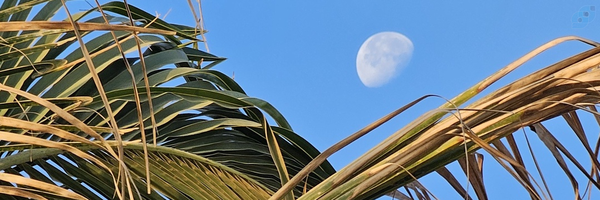 ‌کمیل کمالی‌'s header picture