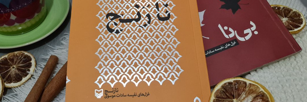 ‌نفیسه‌سادات موسوی‌'s header picture