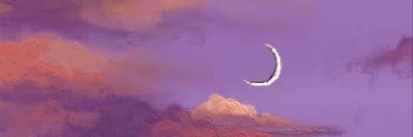 ‌judy‌'s header picture