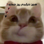 Profile picture of ‌Niko‌