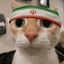 Profile picture of ‌ماهتیسا ³³³‌