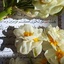 Profile picture of ‌m.m معین‌