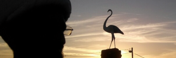 ‌علیرضا آهنین جان‌'s header picture