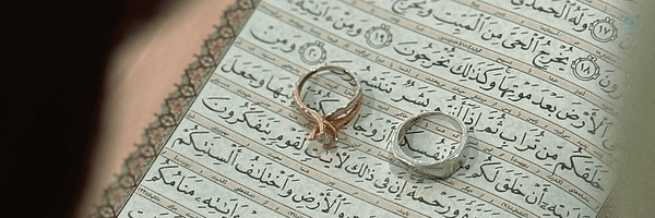‌فاء🪽‌'s header picture