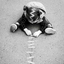 Profile picture of ‌˼هُـبـوط¦𝑯𝒐𝒃𝒐𝒕˹‌