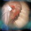 Profile picture of ‌Sarbazane_gomnam_313☫‌