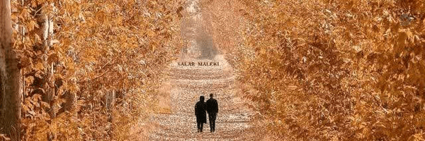 ‌فاطمه‌'s header picture