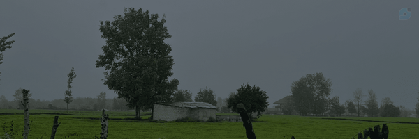‌Drsa‌'s header picture