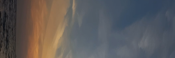 ‌حسن گُهره قشمی‌'s header picture