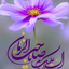 Profile picture of ‌زائر اربعین‌