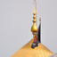 Profile picture of ‌نرگس ناصری‌