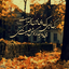 Profile picture of ‌Maryam‌