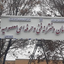 Profile picture of ‌نوشین کرانی‌