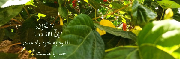 ‌عدن/Eden‌'s header picture