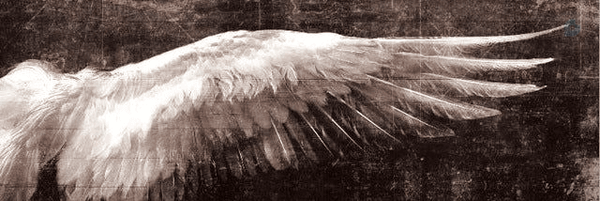 ‌مُحمدرِضا ☫‌'s header picture