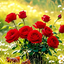 Profile picture of ‌Samira‌