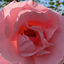 Profile picture of ‌آرامش ابدی‌