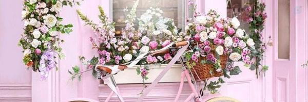 ‌رضا رضا‌'s header picture