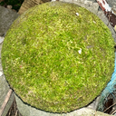 Profile picture of ‌خربزه خسته‌
